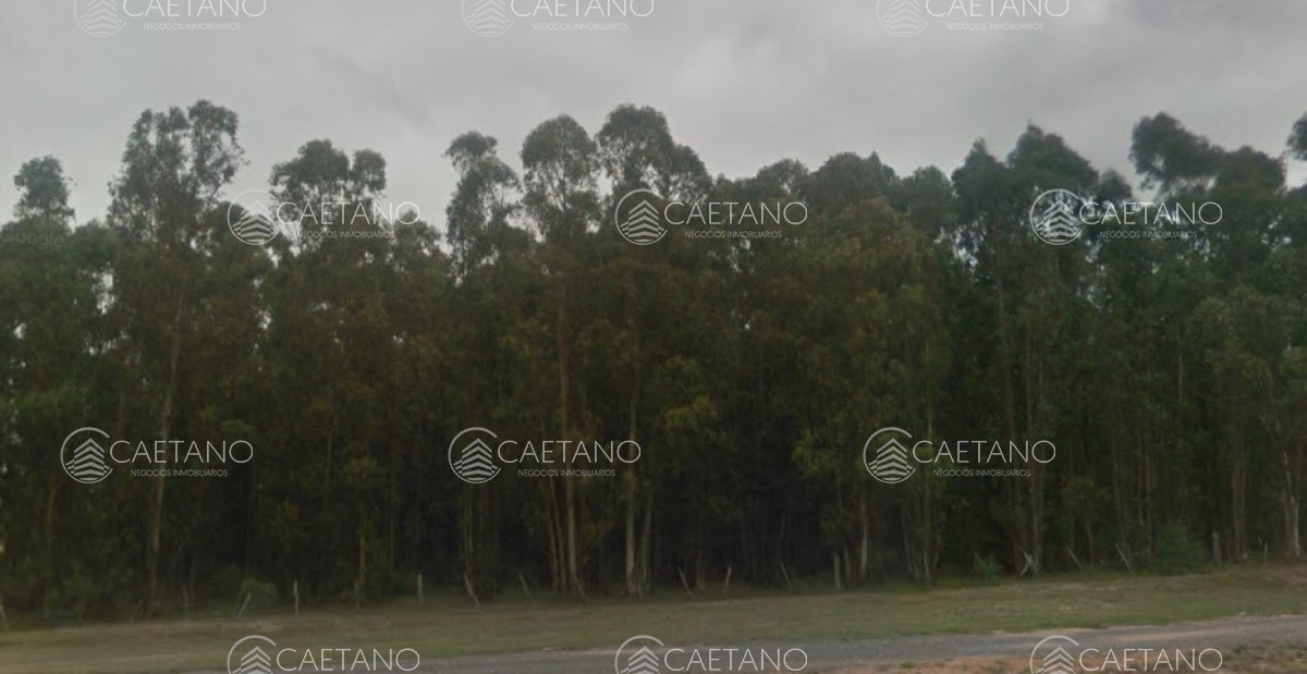 Buena Fracción con arroyo sobre Ruta 9 - GoPunta - Portal Inmobiliario de Punta del Este - Maldonado