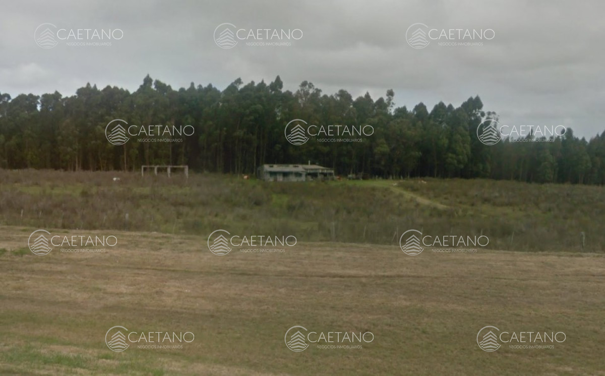 Buena Fracción con arroyo sobre Ruta 9 - GoPunta - Portal Inmobiliario de Punta del Este - Maldonado