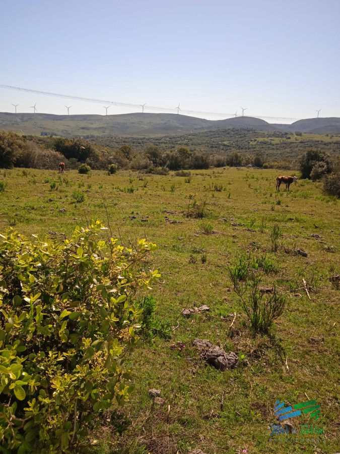 Propiedad - GoPunta - Portal Inmobiliario de Punta del Este - Maldonado