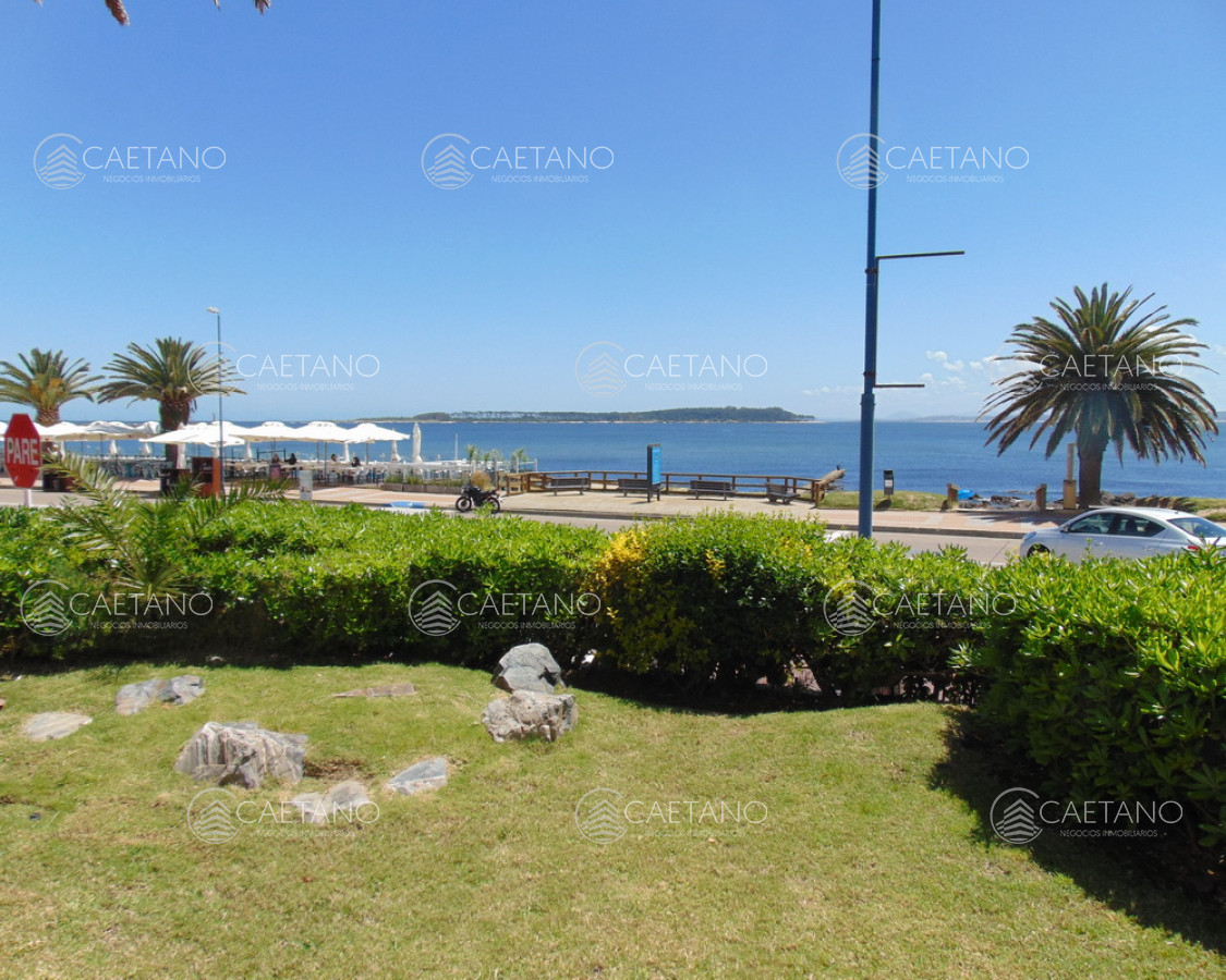 Península - GoPunta - Portal Inmobiliario de Punta del Este - Maldonado