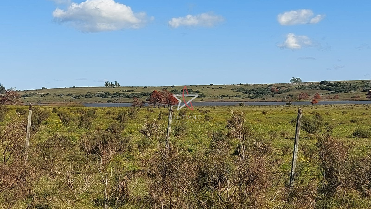 Laguna del Sauce - GoPunta - Portal Inmobiliario de Punta del Este - Maldonado