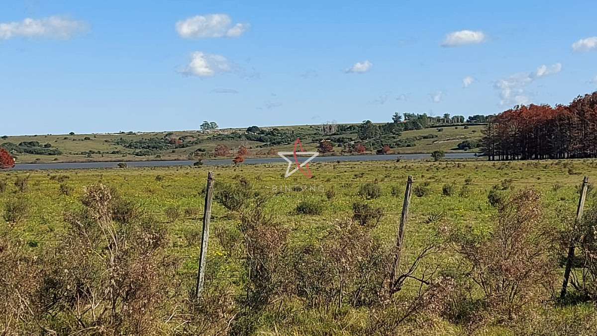 Laguna del Sauce - GoPunta - Portal Inmobiliario de Punta del Este - Maldonado