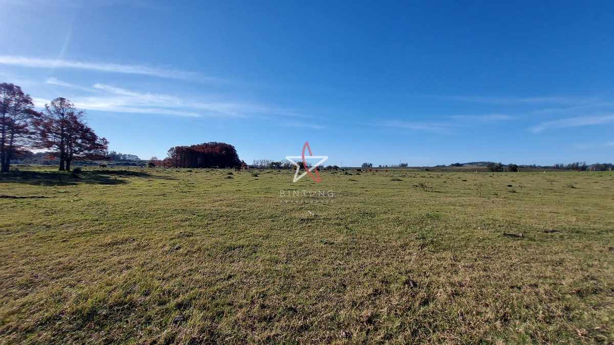 Laguna del Sauce - GoPunta - Portal Inmobiliario de Punta del Este - Maldonado