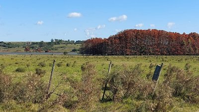 Chacra sobre Laguna del Sauce 