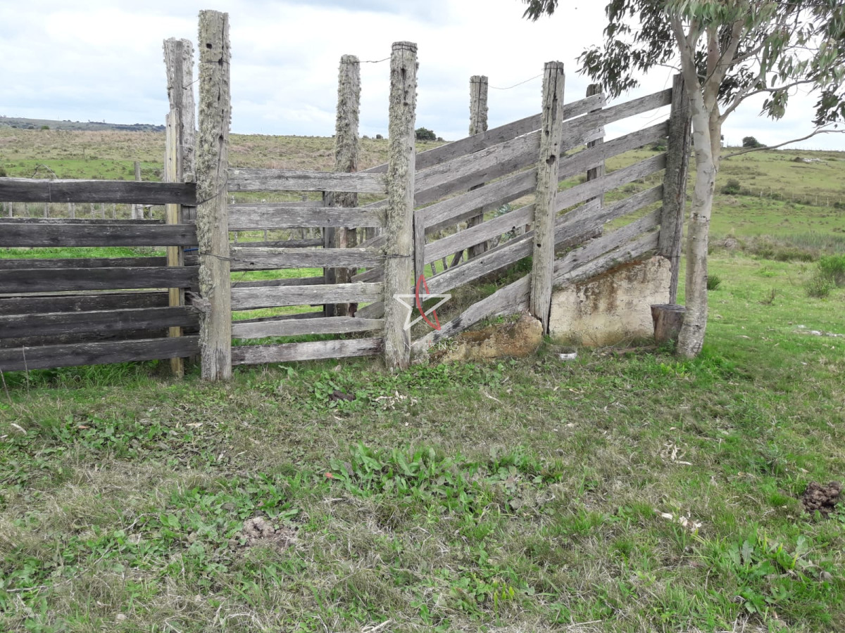 Campo en las Cañas de 59 has, cuenta con casa, luz, instrucciones para trabajar con ganado, arroyo, cañada y monte natural. Consulte!!!!! - GoPunta - Portal Inmobiliario de Punta del Este - Maldonado