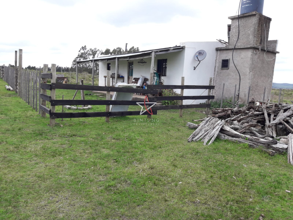 Campo en las Cañas de 59 has, cuenta con casa, luz, instrucciones para trabajar con ganado, arroyo, cañada y monte natural. Consulte!!!!! - GoPunta - Portal Inmobiliario de Punta del Este - Maldonado