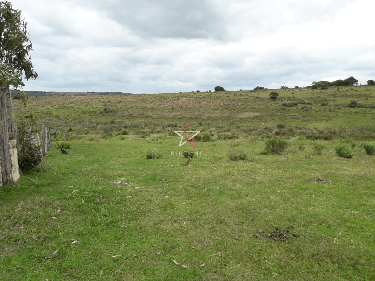 Campo en las Cañas de 59 has, cuenta con casa, luz, instrucciones para trabajar con ganado, arroyo, cañada y monte natural. Consulte!!!!! - GoPunta - Portal Inmobiliario de Punta del Este - Maldonado