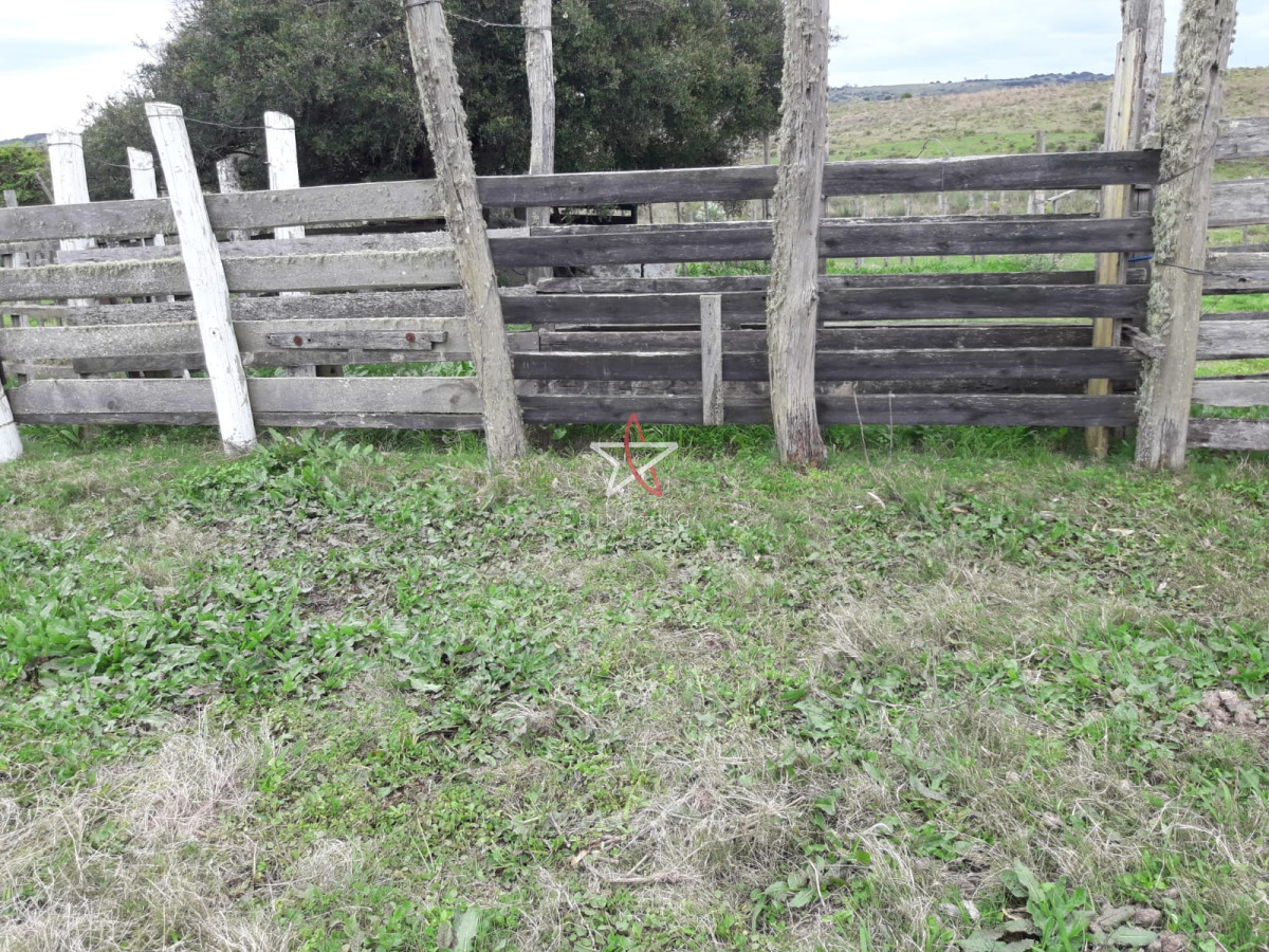 Campo en las Cañas de 59 has, cuenta con casa, luz, instrucciones para trabajar con ganado, arroyo, cañada y monte natural. Consulte!!!!! - GoPunta - Portal Inmobiliario de Punta del Este - Maldonado