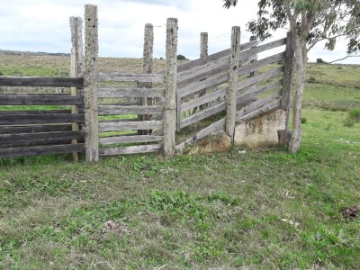 Campo en las Cañas de 59 has, cuenta con casa, luz, instrucciones para trabajar con ganado, arroyo, cañada y monte natural. Consulte!!!!!