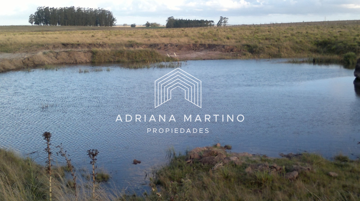 Campo de 35 has buen suelo con tajamar, cañada agua permante y Casa. - GoPunta - Portal Inmobiliario de Punta del Este - Maldonado
