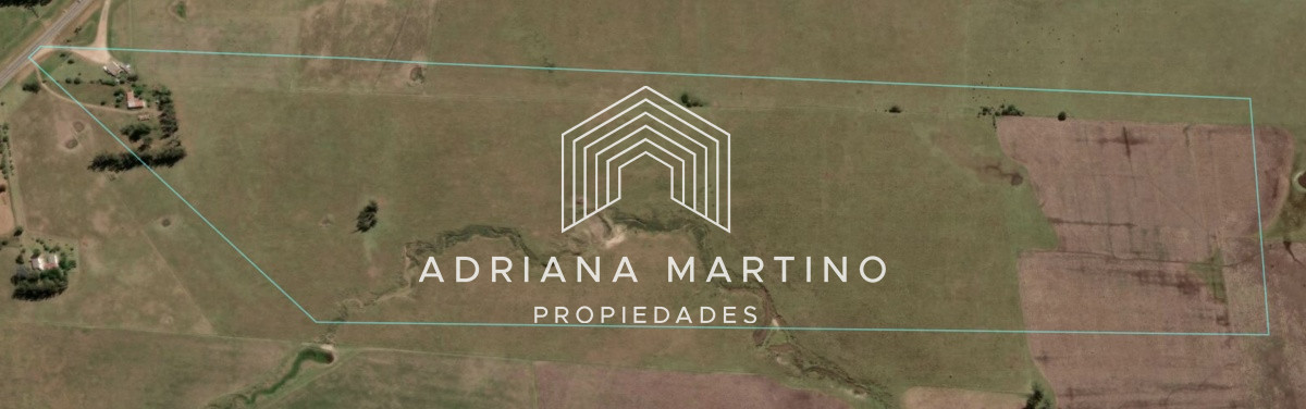 Campo de 35 has buen suelo con tajamar, cañada agua permante y Casa. - GoPunta - Portal Inmobiliario de Punta del Este - Maldonado