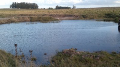 Campo de 35 has buen suelo con tajamar, cañada agua permante y Casa. 