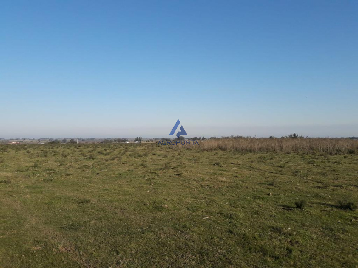 Campo de 66 has con 1991 m2   En Corte la Leña   Consulte!!! - GoPunta - Portal Inmobiliario de Punta del Este - Maldonado