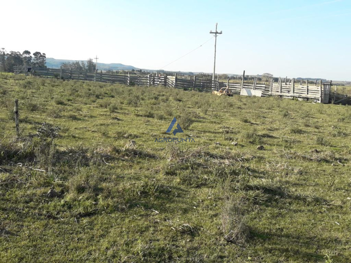 Campo de 66 has con 1991 m2   En Corte la Leña   Consulte!!! - GoPunta - Portal Inmobiliario de Punta del Este - Maldonado