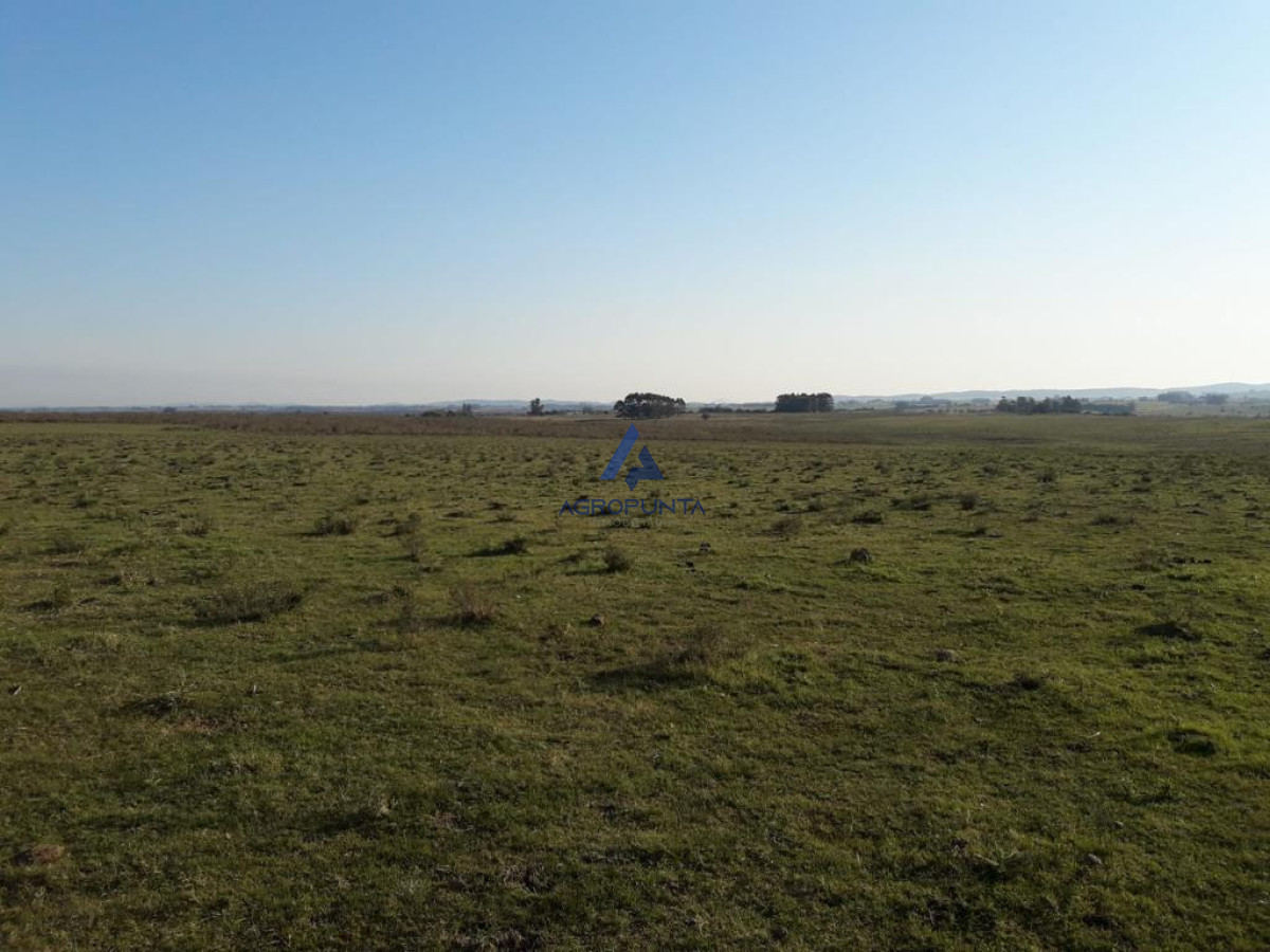 Campo de 66 has con 1991 m2   En Corte la Leña   Consulte!!! - GoPunta - Portal Inmobiliario de Punta del Este - Maldonado