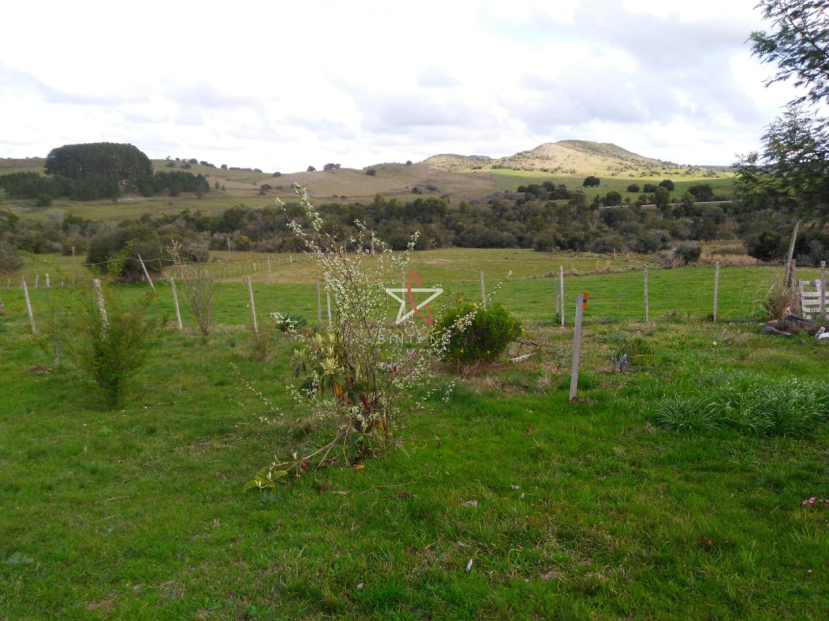 campo agricola ganadero sobre ruta 13 a 5 kilómetros de aigua - GoPunta - Portal Inmobiliario de Punta del Este - Maldonado