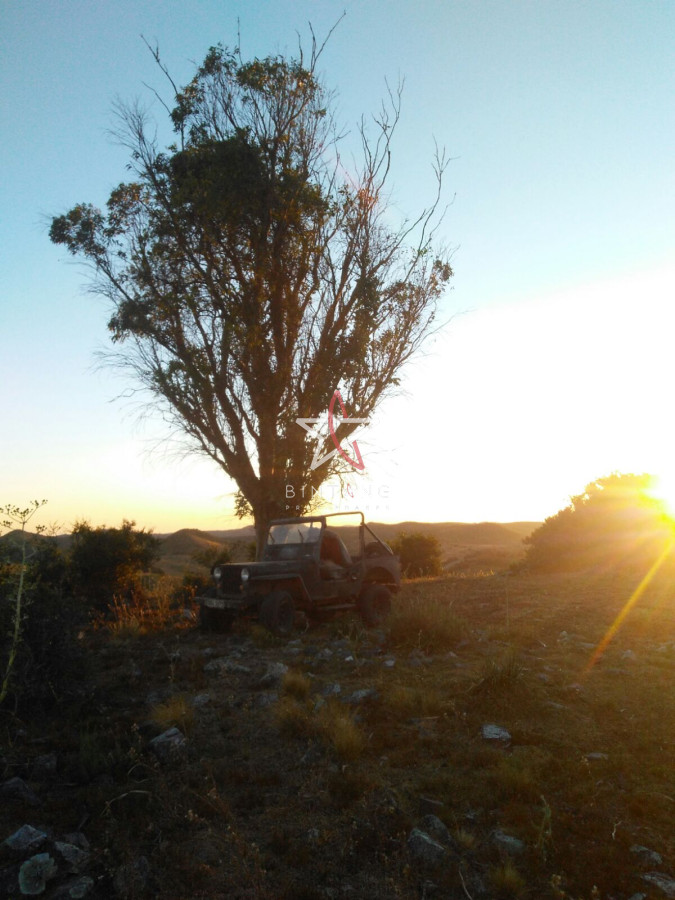 campo agricola ganadero sobre ruta 13 a 5 kilómetros de aigua - GoPunta - Portal Inmobiliario de Punta del Este - Maldonado