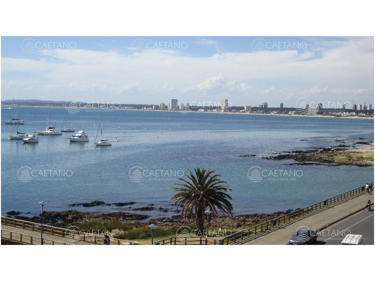 Península - GoPunta - Portal Inmobiliario de Punta del Este - Maldonado