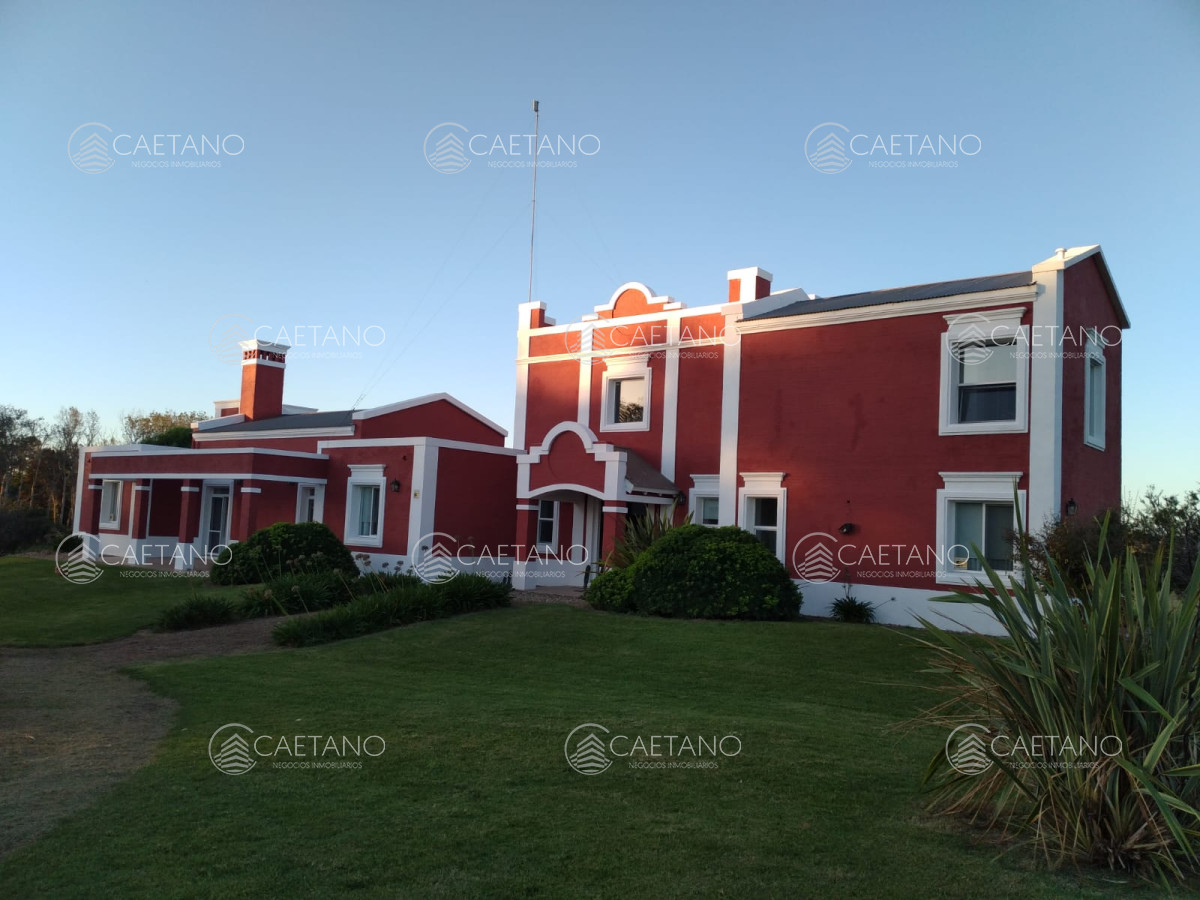 Sauce de Portezuelo - GoPunta - Portal Inmobiliario de Punta del Este - Maldonado
