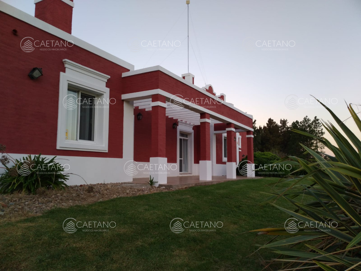 Sauce de Portezuelo - GoPunta - Portal Inmobiliario de Punta del Este - Maldonado