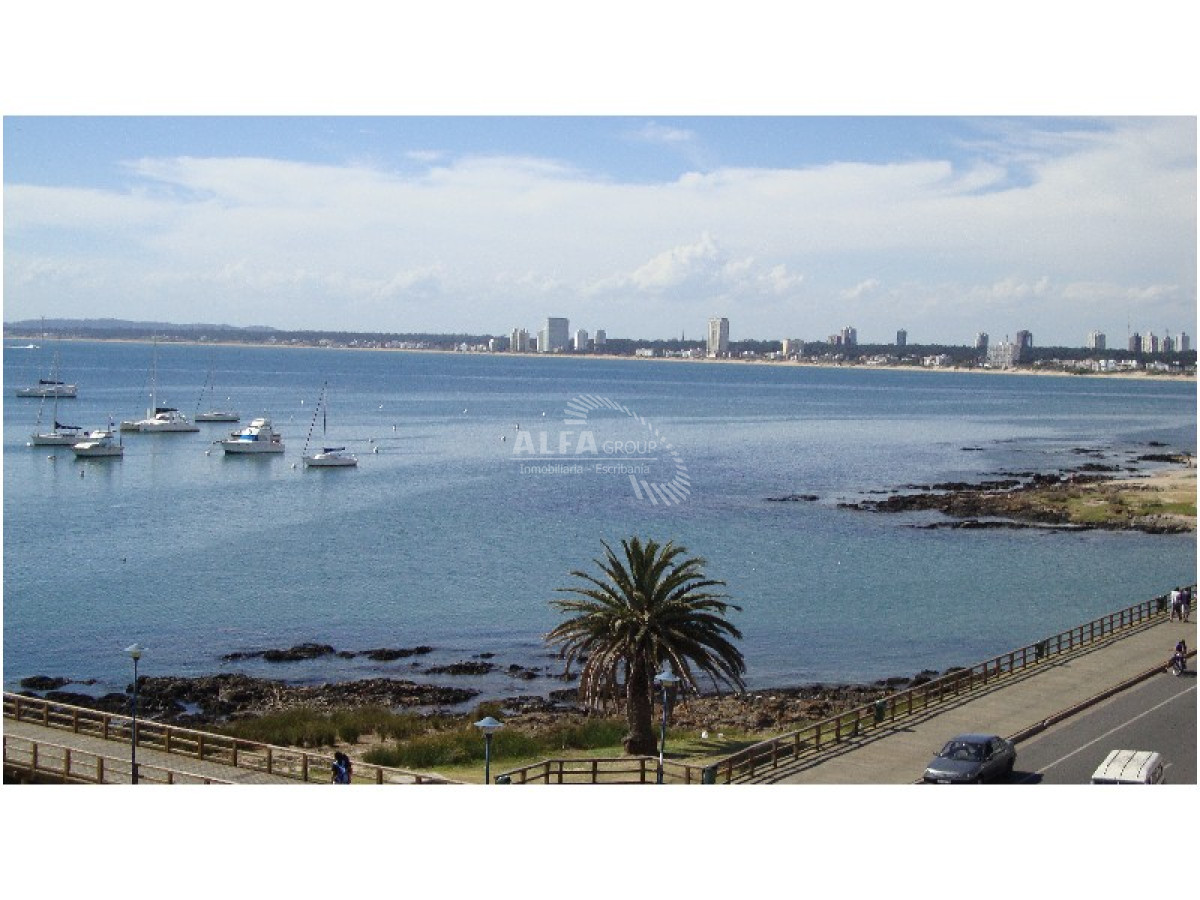 Península - GoPunta - Portal Inmobiliario de Punta del Este - Maldonado