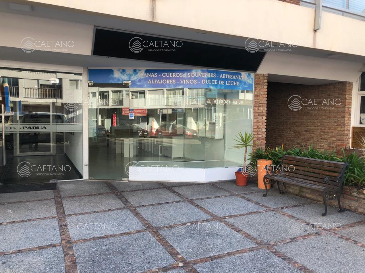Propiedad - GoPunta - Portal Inmobiliario de Punta del Este - Maldonado