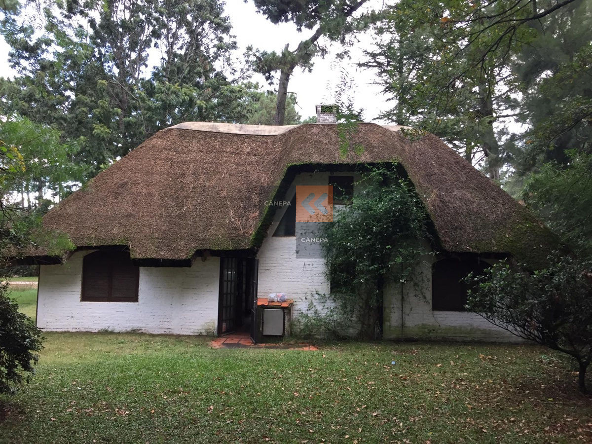 Pinares - GoPunta - Portal Inmobiliario de Punta del Este - Maldonado