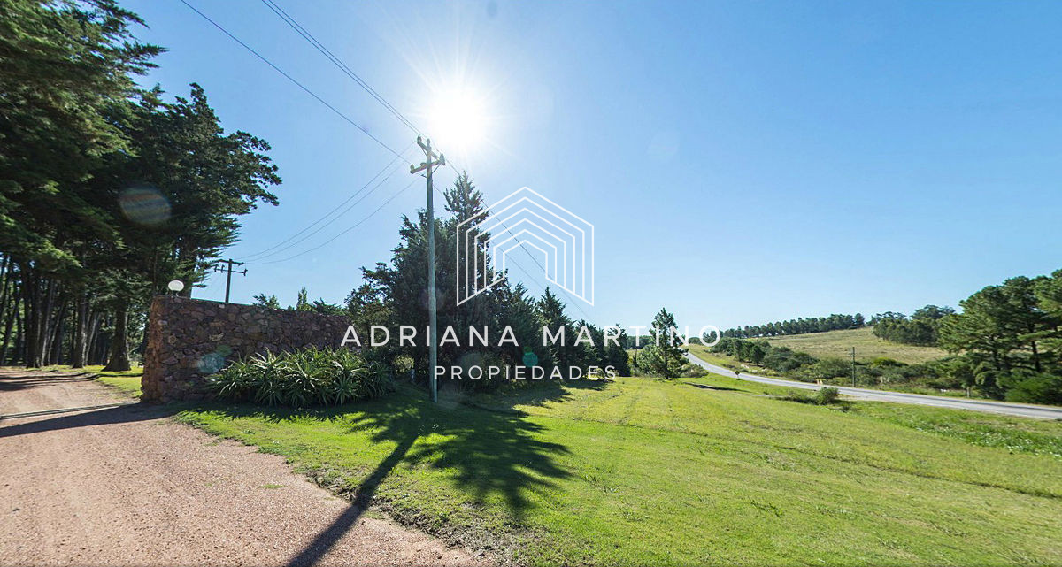 Laguna del Sauce - GoPunta - Portal Inmobiliario de Punta del Este - Maldonado