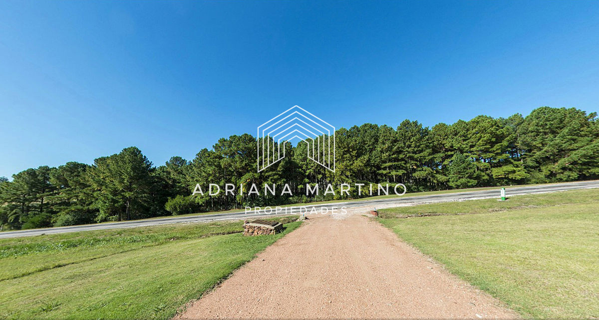 Laguna del Sauce - GoPunta - Portal Inmobiliario de Punta del Este - Maldonado