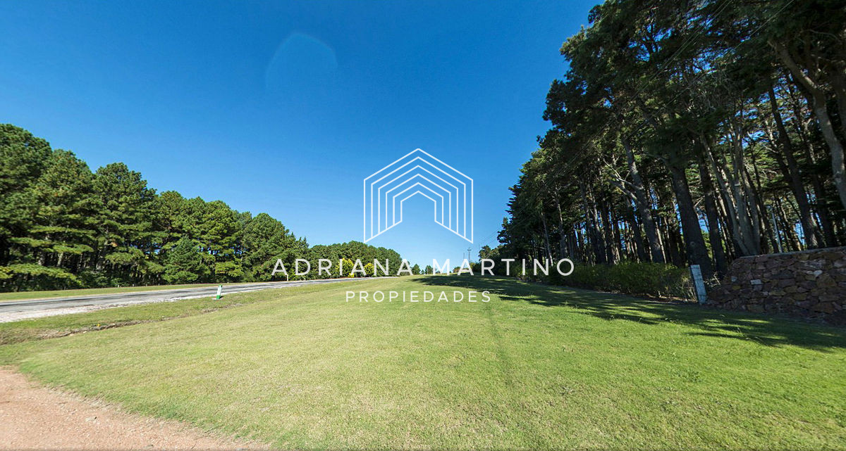 Laguna del Sauce - GoPunta - Portal Inmobiliario de Punta del Este - Maldonado