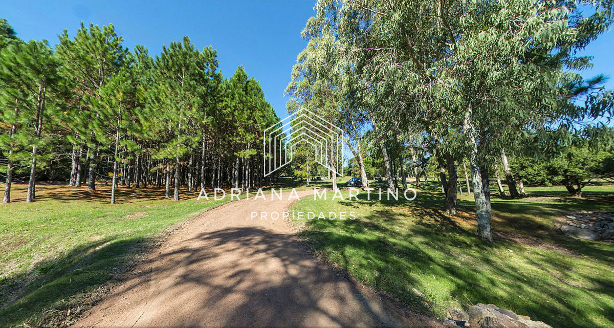 Laguna del Sauce - GoPunta - Portal Inmobiliario de Punta del Este - Maldonado