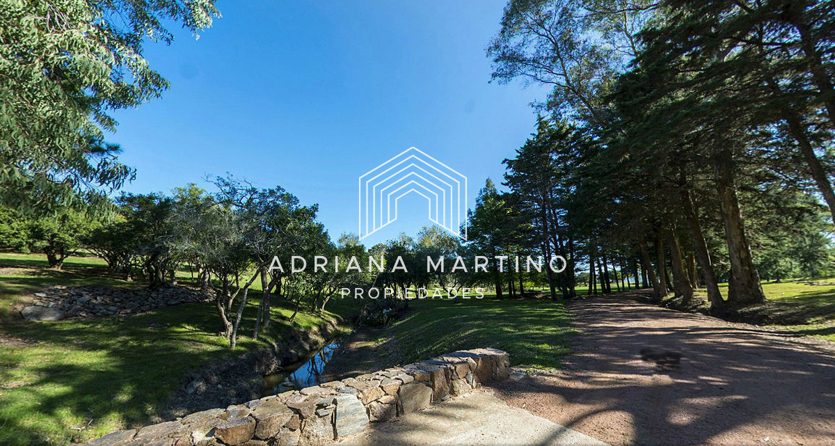 Laguna del Sauce - GoPunta - Portal Inmobiliario de Punta del Este - Maldonado