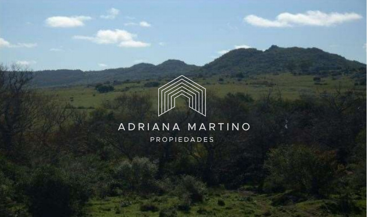Hermoso Campo en Lavalleja . - GoPunta - Portal Inmobiliario de Punta del Este - Maldonado