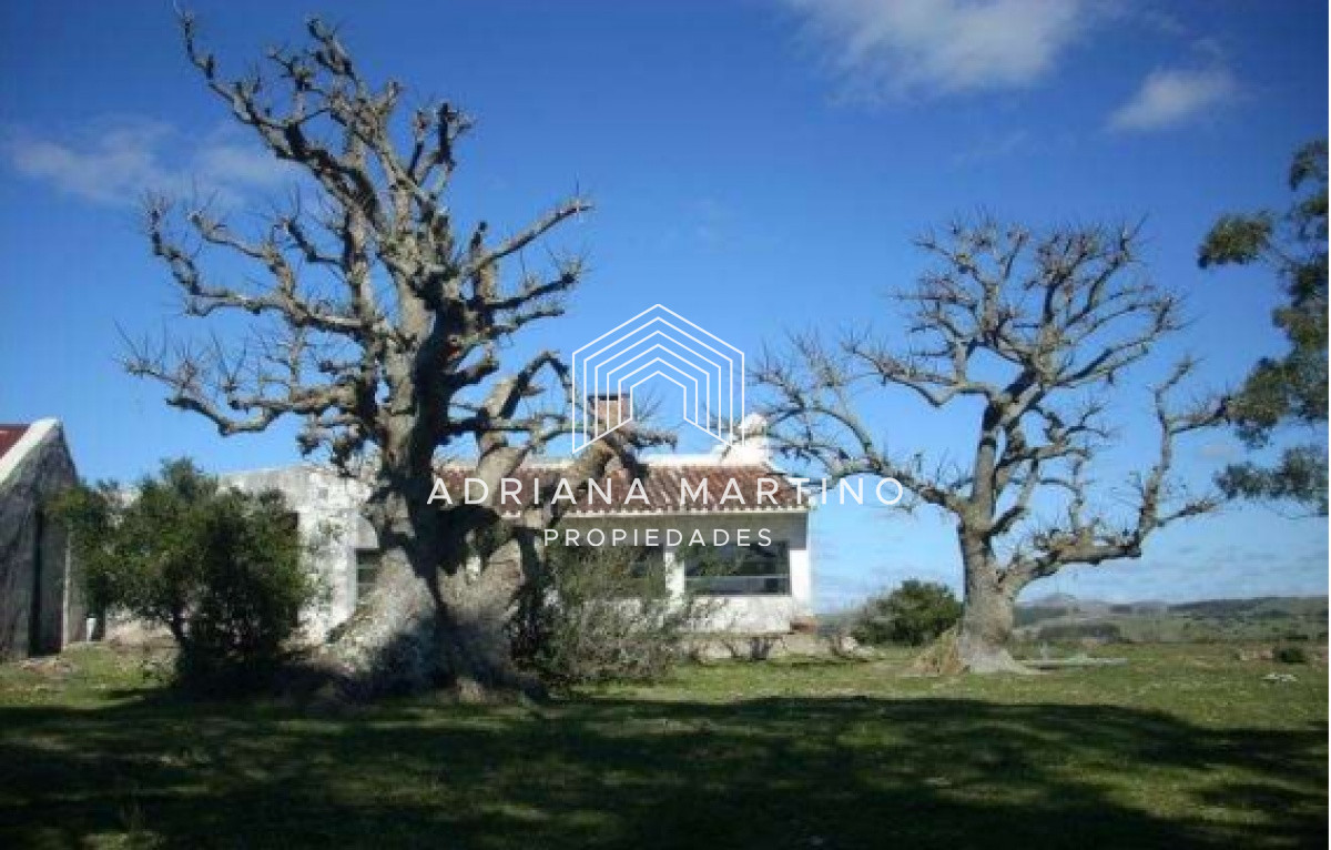 Hermoso Campo en Lavalleja . - GoPunta - Portal Inmobiliario de Punta del Este - Maldonado