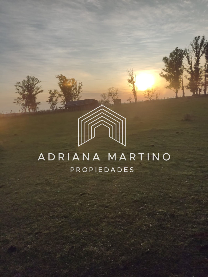 CAMPO GANADERO EN PAYSANDÚ   1000 HÁS - GoPunta - Portal Inmobiliario de Punta del Este - Maldonado