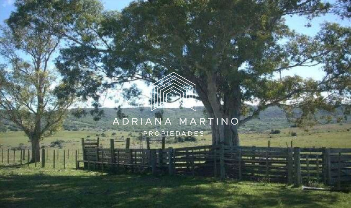 Hermoso Campo en Lavalleja . - GoPunta - Portal Inmobiliario de Punta del Este - Maldonado