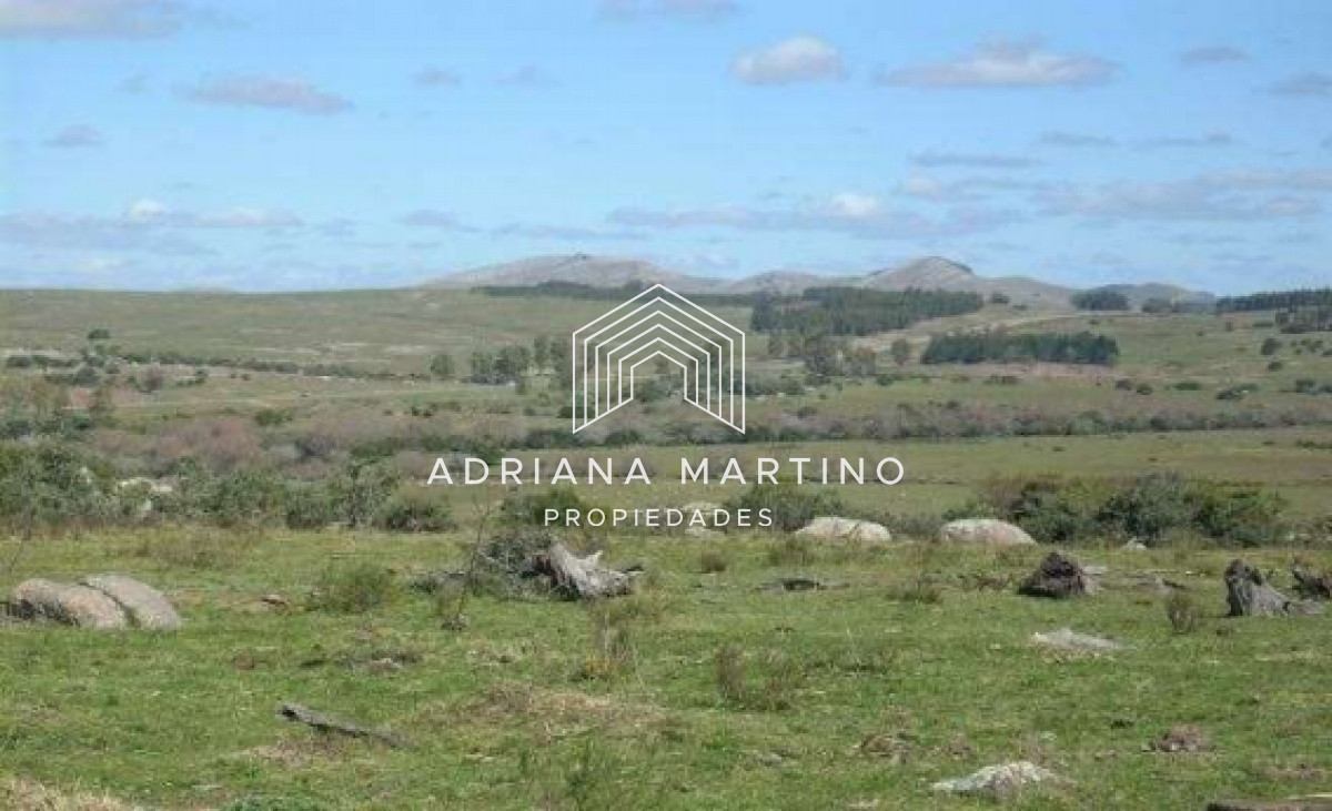 Hermoso Campo en Lavalleja . - GoPunta - Portal Inmobiliario de Punta del Este - Maldonado