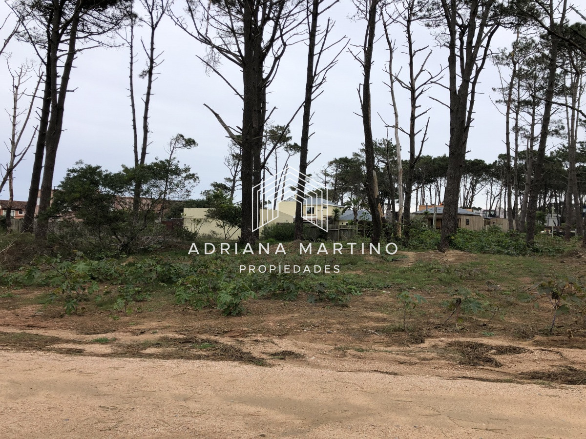 Montoya - GoPunta - Portal Inmobiliario de Punta del Este - Maldonado
