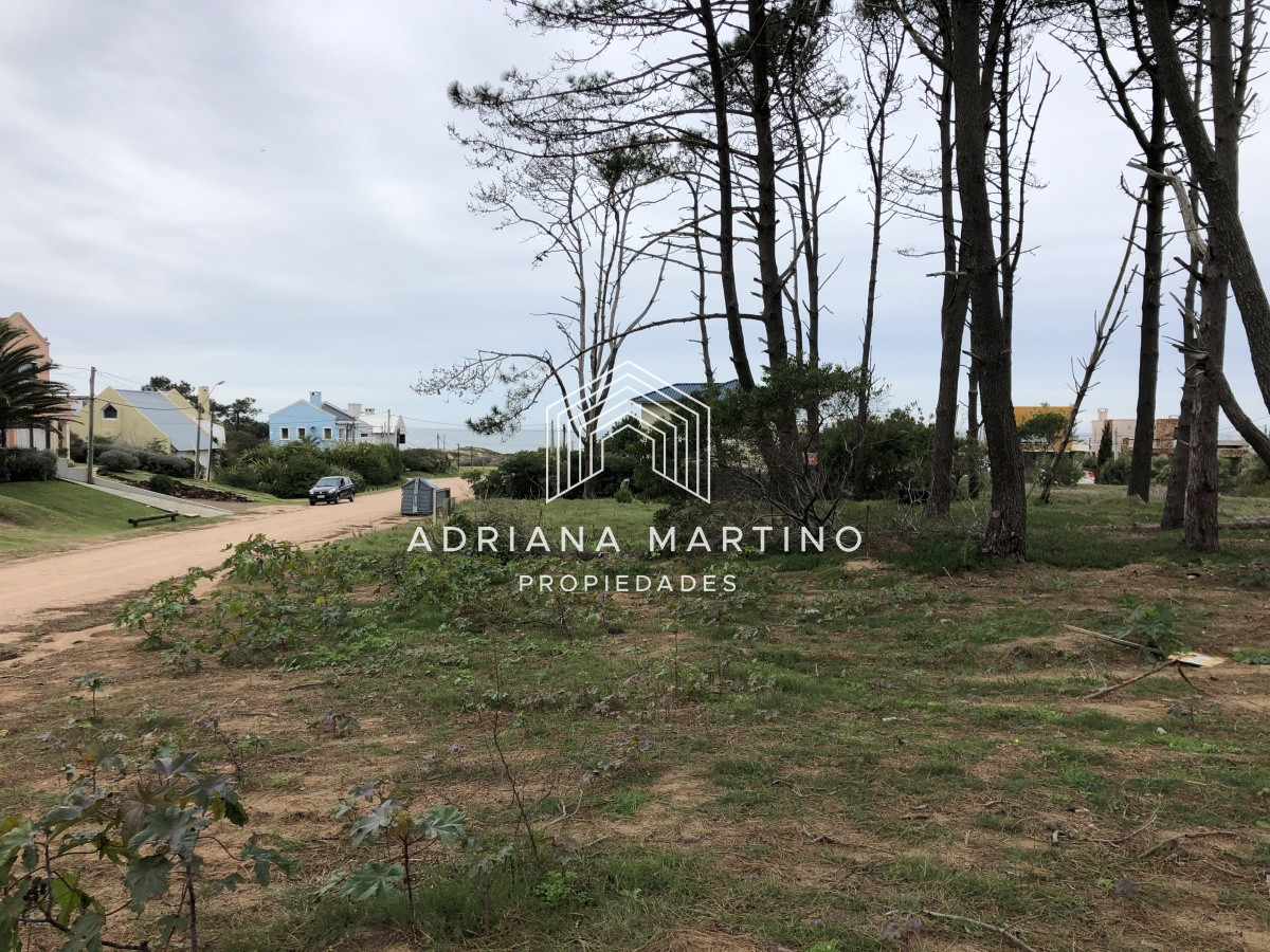 Montoya - GoPunta - Portal Inmobiliario de Punta del Este - Maldonado