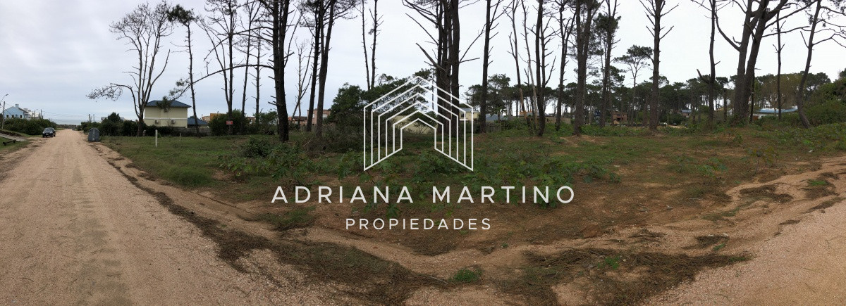 Montoya - GoPunta - Portal Inmobiliario de Punta del Este - Maldonado
