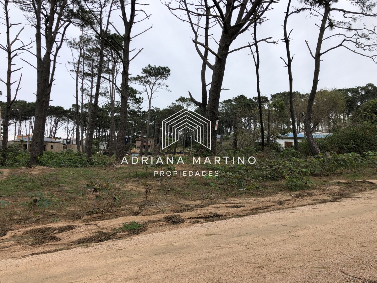 Montoya - GoPunta - Portal Inmobiliario de Punta del Este - Maldonado