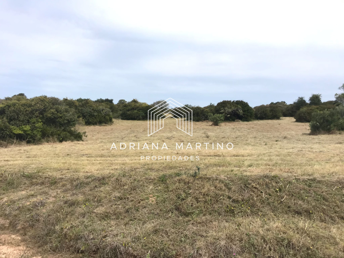 Arenas de José Ignacio - GoPunta - Portal Inmobiliario de Punta del Este - Maldonado