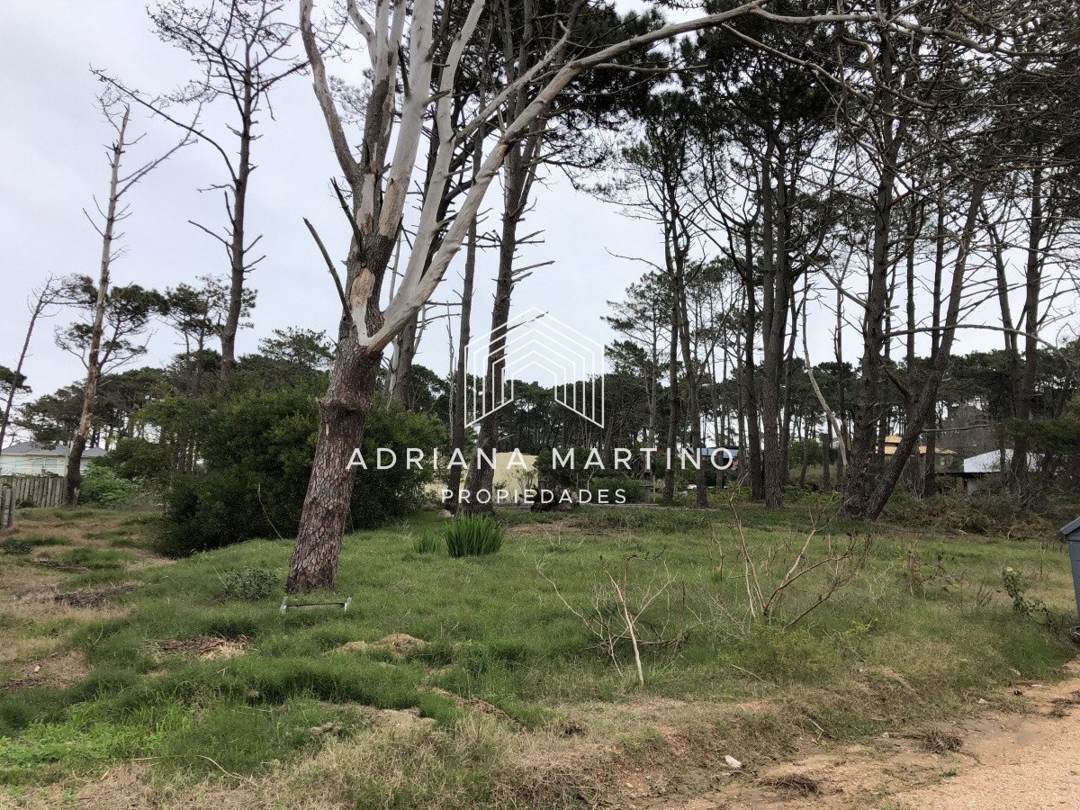 Montoya - GoPunta - Portal Inmobiliario de Punta del Este - Maldonado
