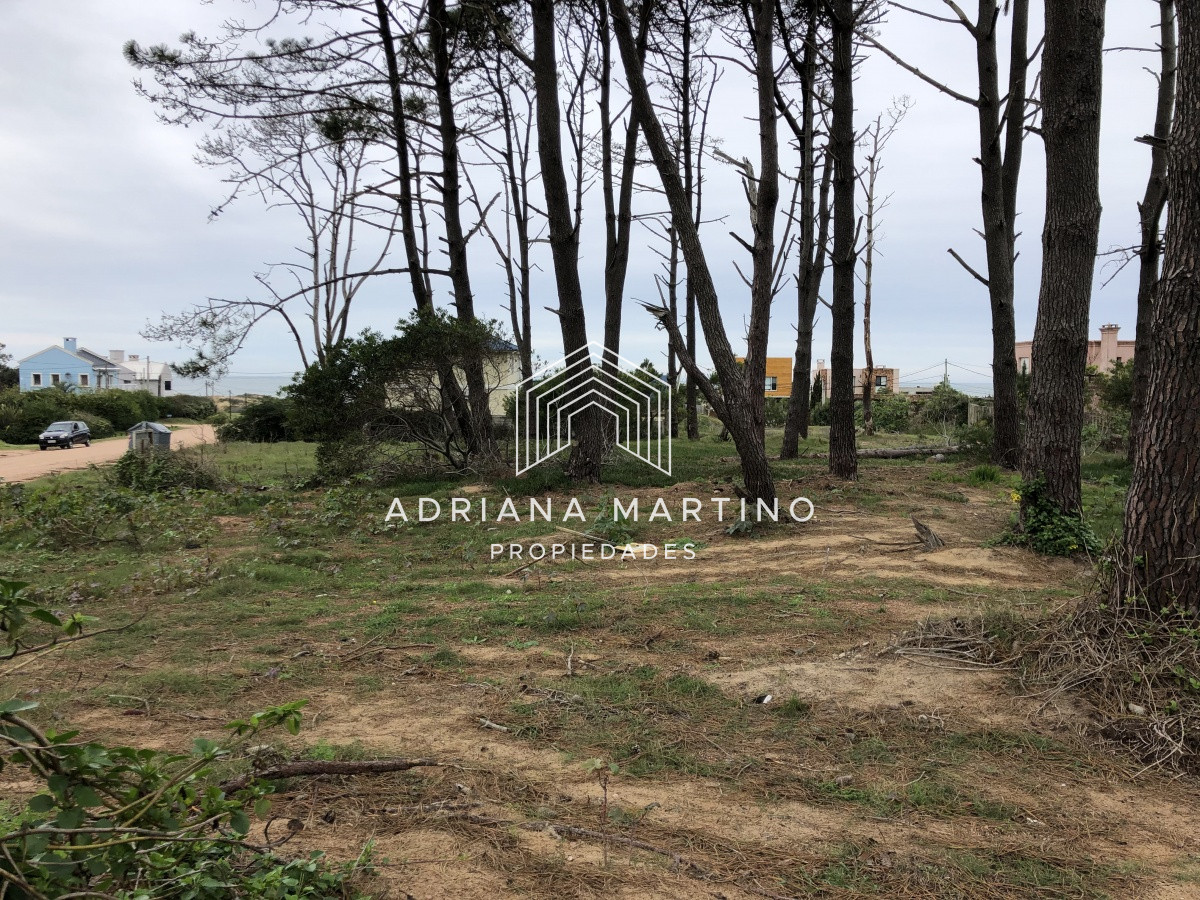 Montoya - GoPunta - Portal Inmobiliario de Punta del Este - Maldonado