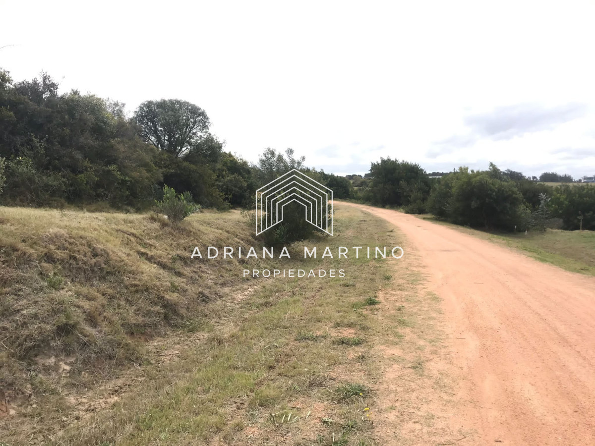 Arenas de José Ignacio - GoPunta - Portal Inmobiliario de Punta del Este - Maldonado