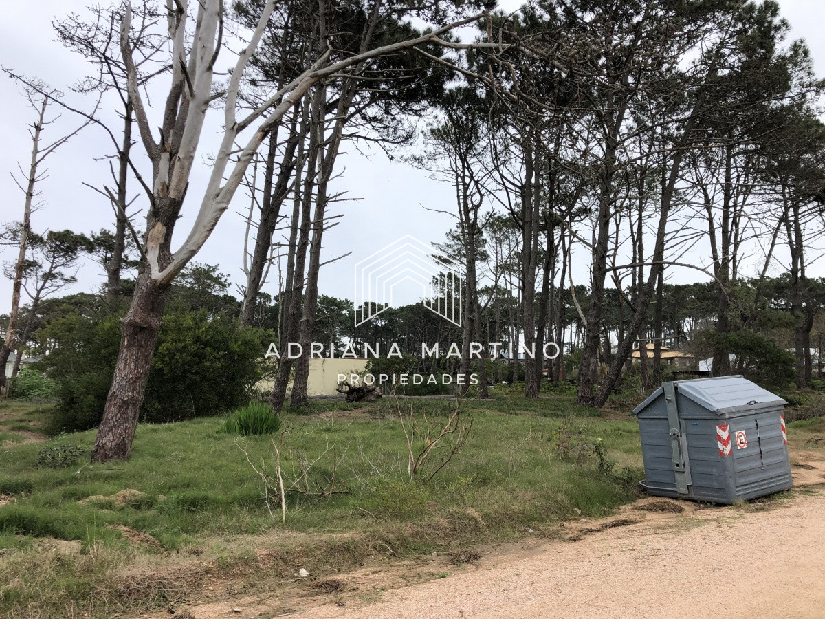 Montoya - GoPunta - Portal Inmobiliario de Punta del Este - Maldonado