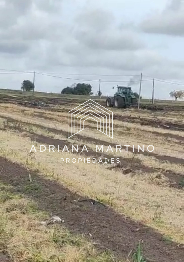 Campo en , - GoPunta - Portal Inmobiliario de Punta del Este - Maldonado