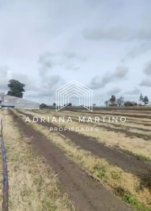 Campo en , - GoPunta - Portal Inmobiliario de Punta del Este - Maldonado