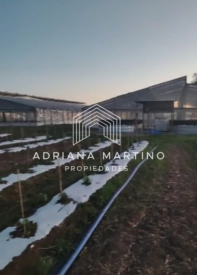 Campo en , - GoPunta - Portal Inmobiliario de Punta del Este - Maldonado