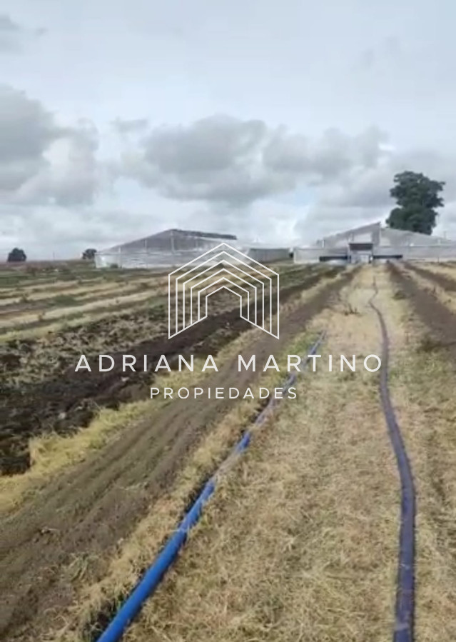 Campo en , - GoPunta - Portal Inmobiliario de Punta del Este - Maldonado